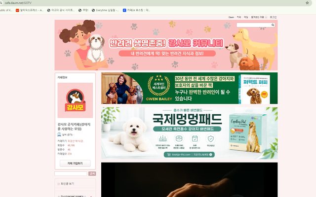 다음 강사모 (GOTV) 화면